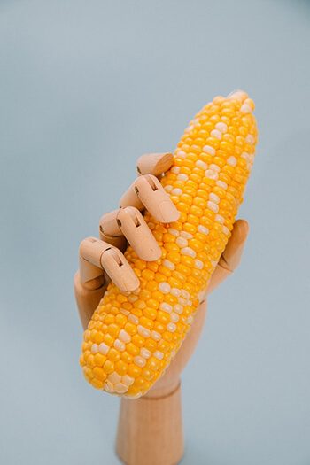 you shouldn't eat corn