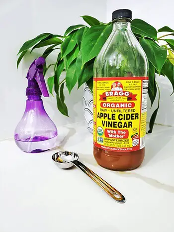 apple cider vinegar to neutralize odor