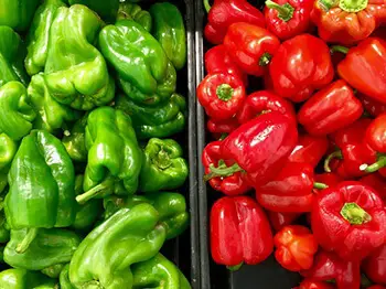 bell peppers are rich in vitamin c