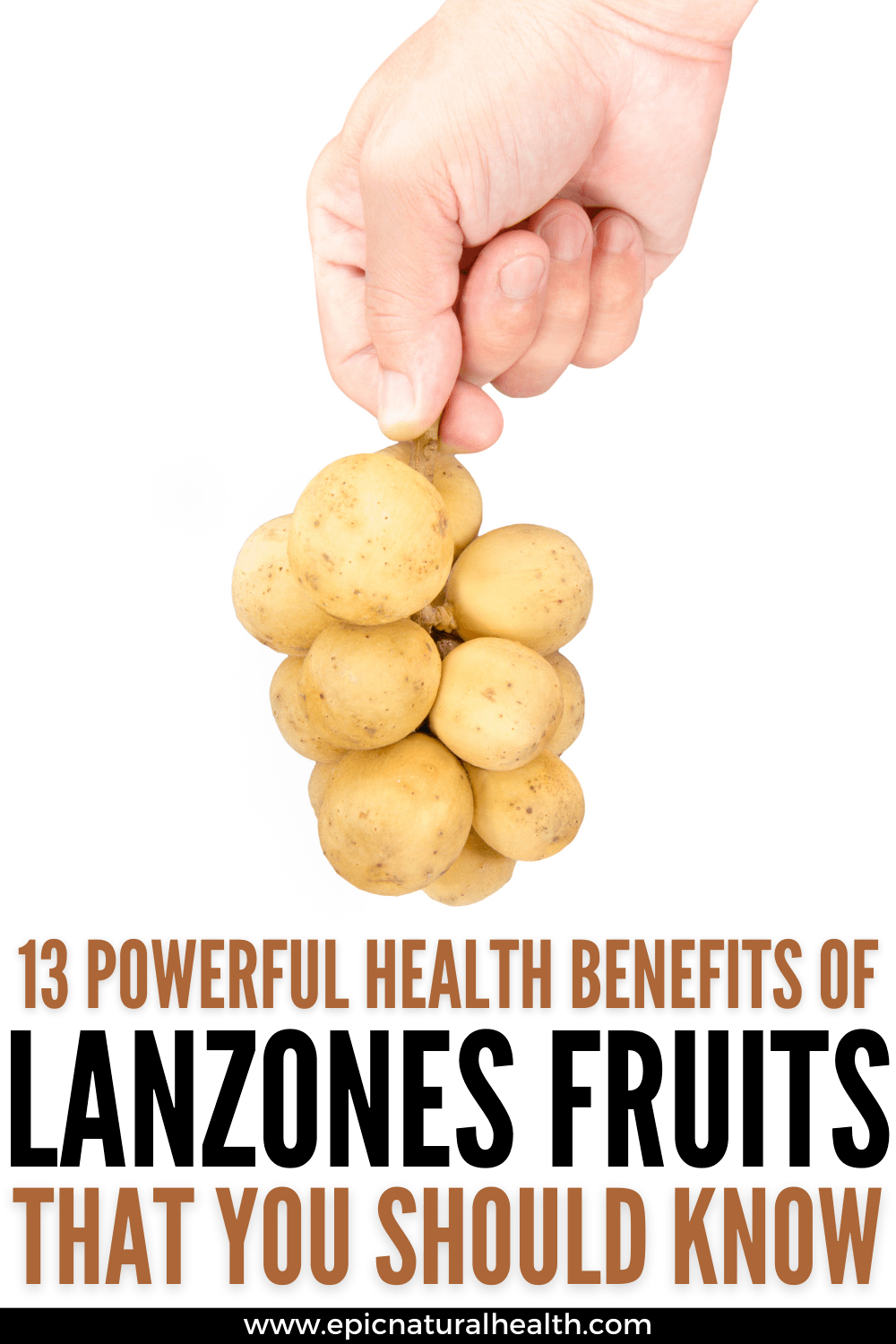 health benefits of lanzones fruits