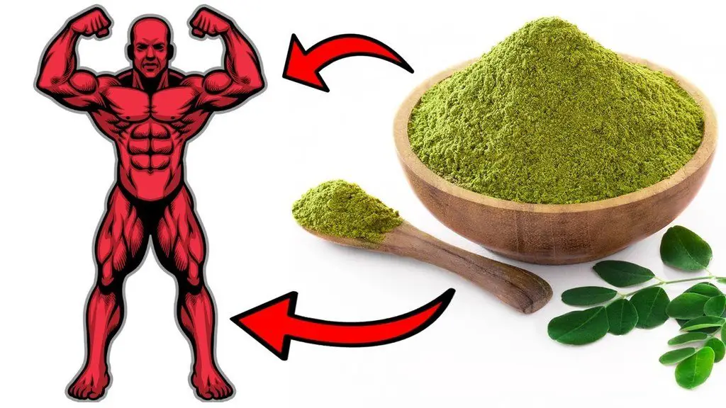 moringa powder