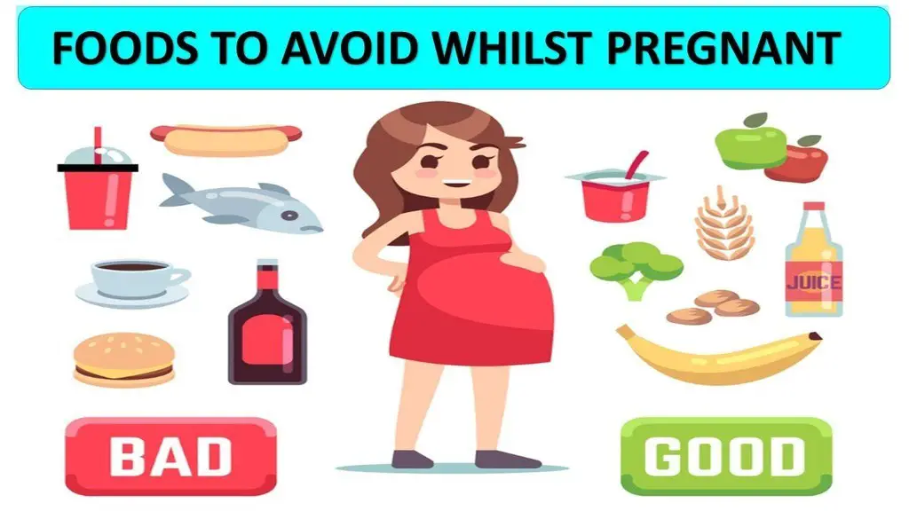 pregnancy foods to avoid image
