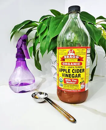 remove smell in kitchen using apple cider vinegar