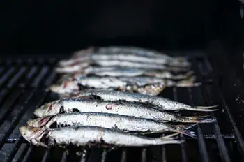 sardines are great source of vitamin b12