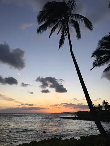 move to hawaii