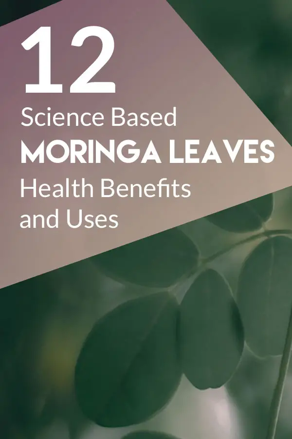 12-moringa-leaves health benefits
