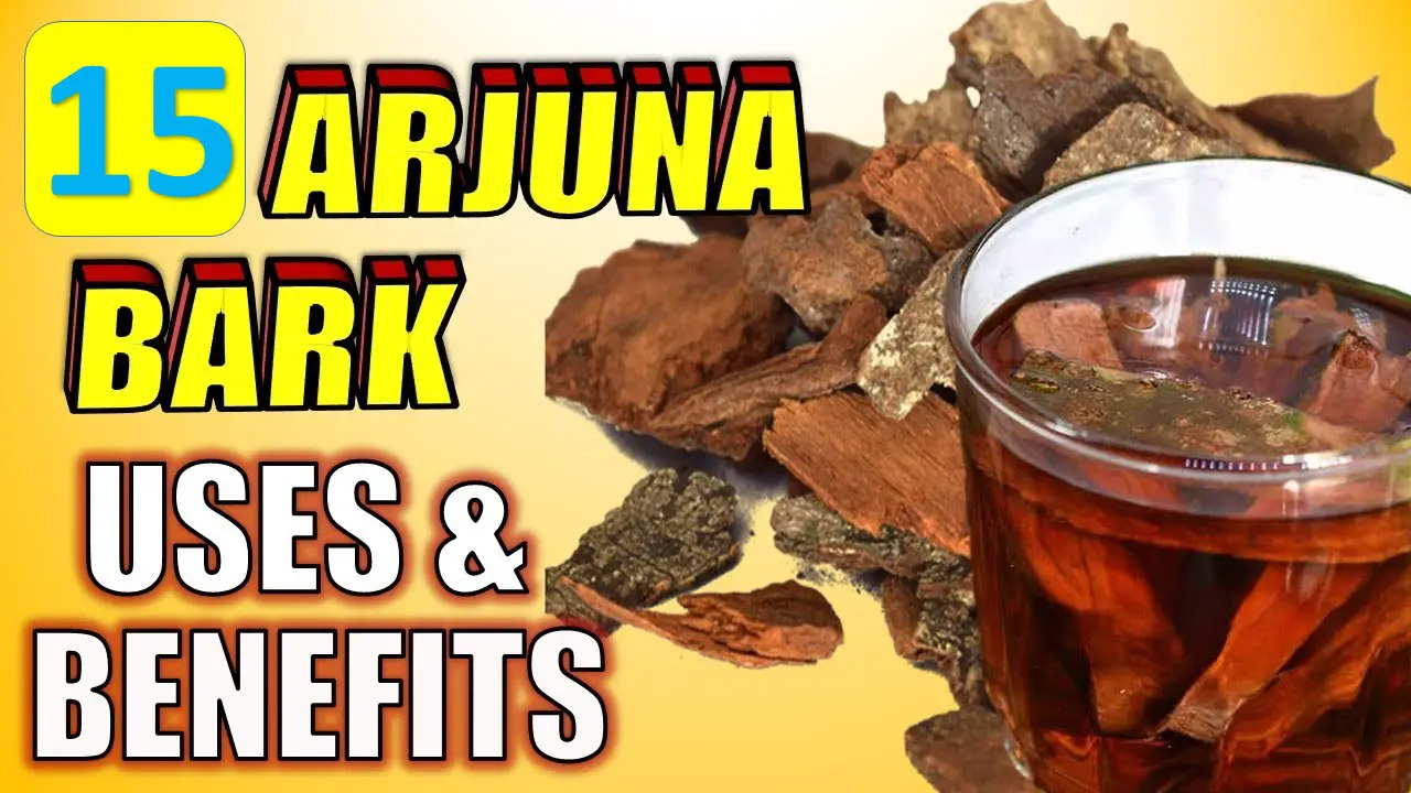 15 POWERFUL Arjuna Bark Health Benefits ARJUNA Powder & Tea Uses