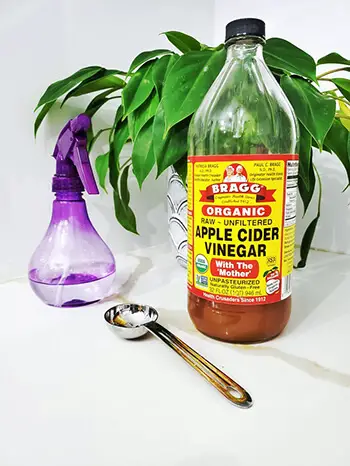 apple cider vinegar is a popular morning detox drink