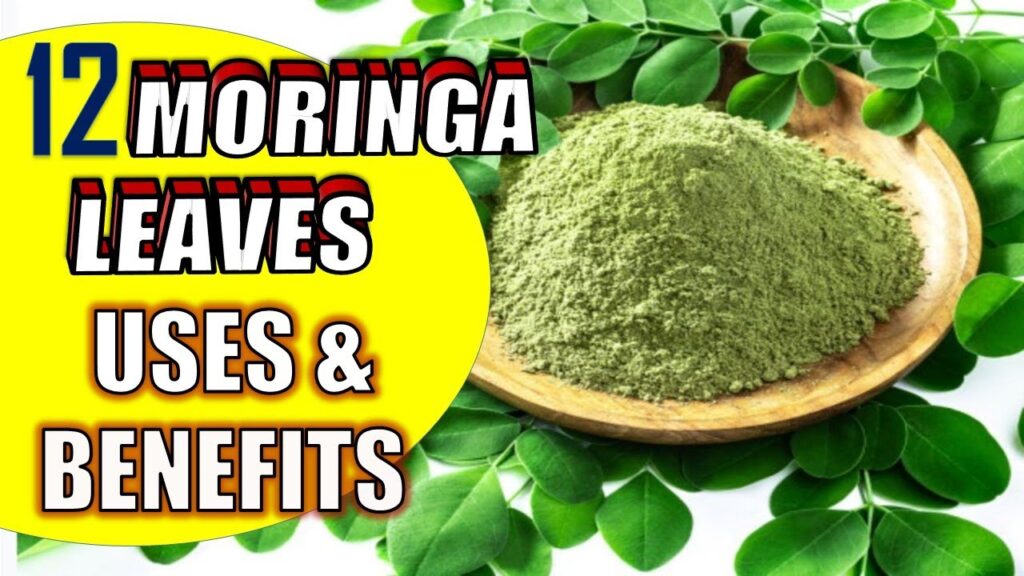 moringa leaves uses and benefits