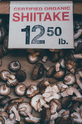 shiitake mushroom contains the highest source of copper