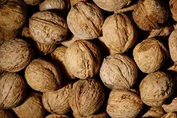 snack on walnuts to encourage hair growth