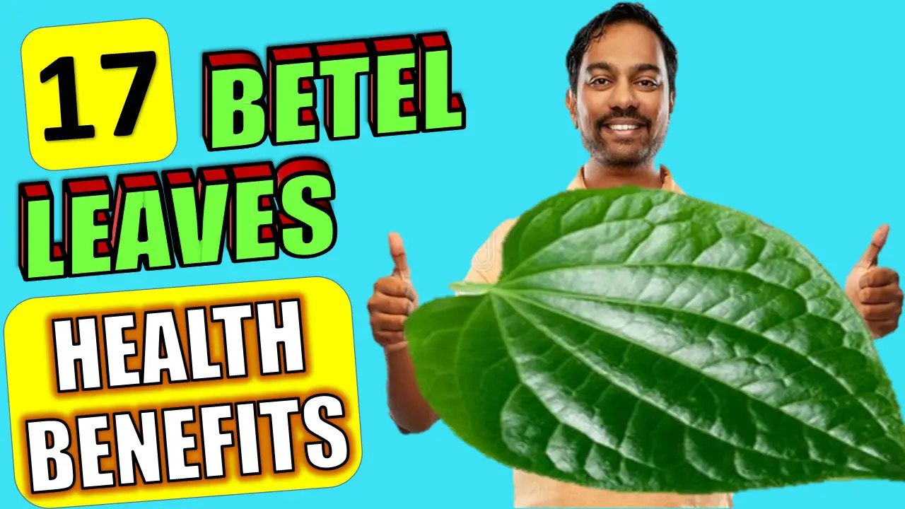betel leaves health benefits