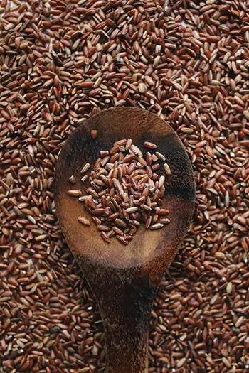 brown rice protein from brown rice