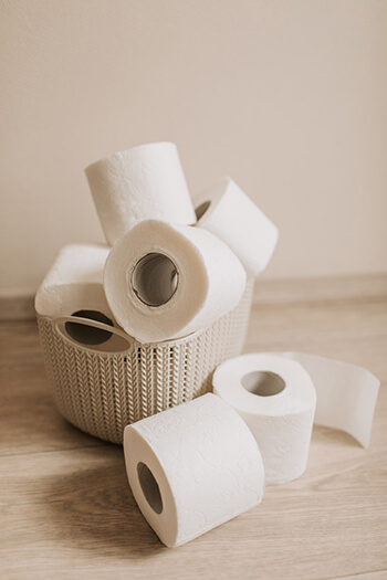 rolls of toilet paper