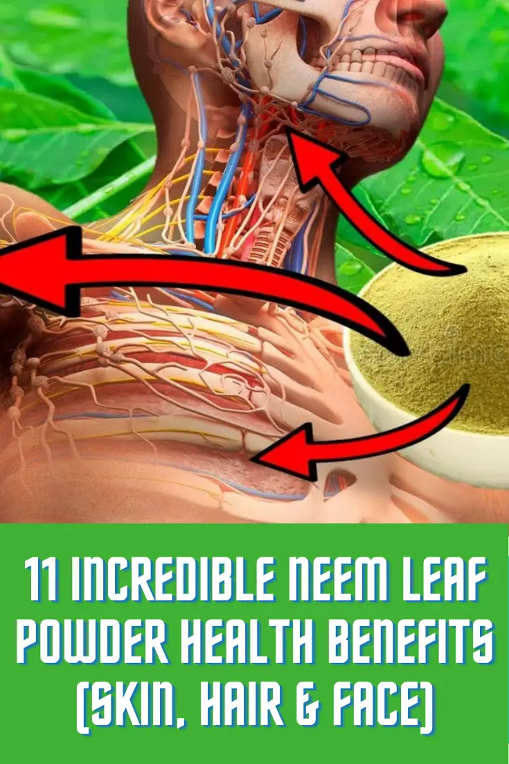 neem leaf powder health benefits