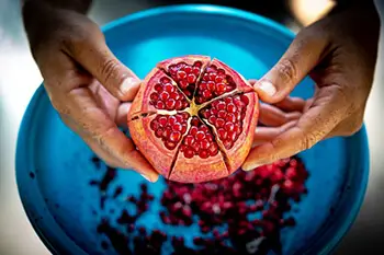 hands holding pomegranate