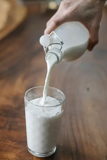 whey protein comes from milk whey protein comes from milk