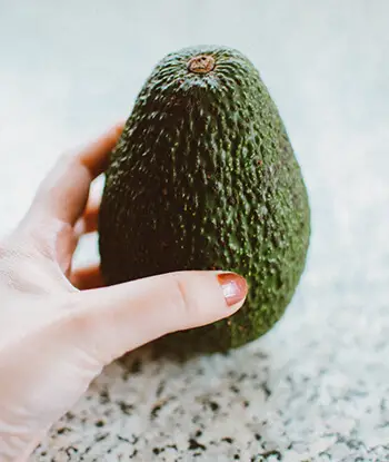 avocado