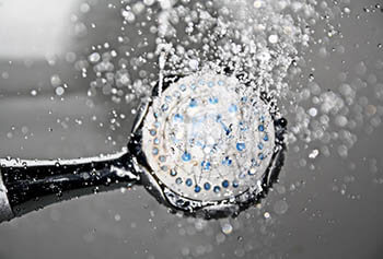 shower head