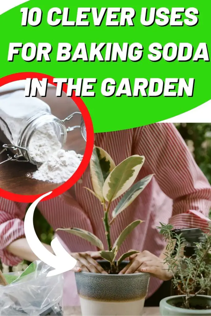 Baking Soda For The Garden 10 Clever Uses for Baking Soda in the