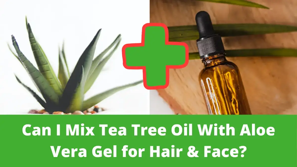 Can I Mix Tea Tree Oil With Aloe Vera Gel for Hair & Face? - Epic Natural  Health