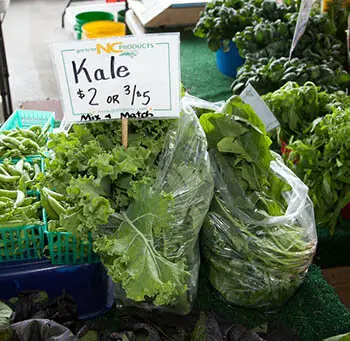 kale for sale