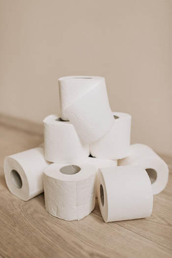 rolls of toilet paper