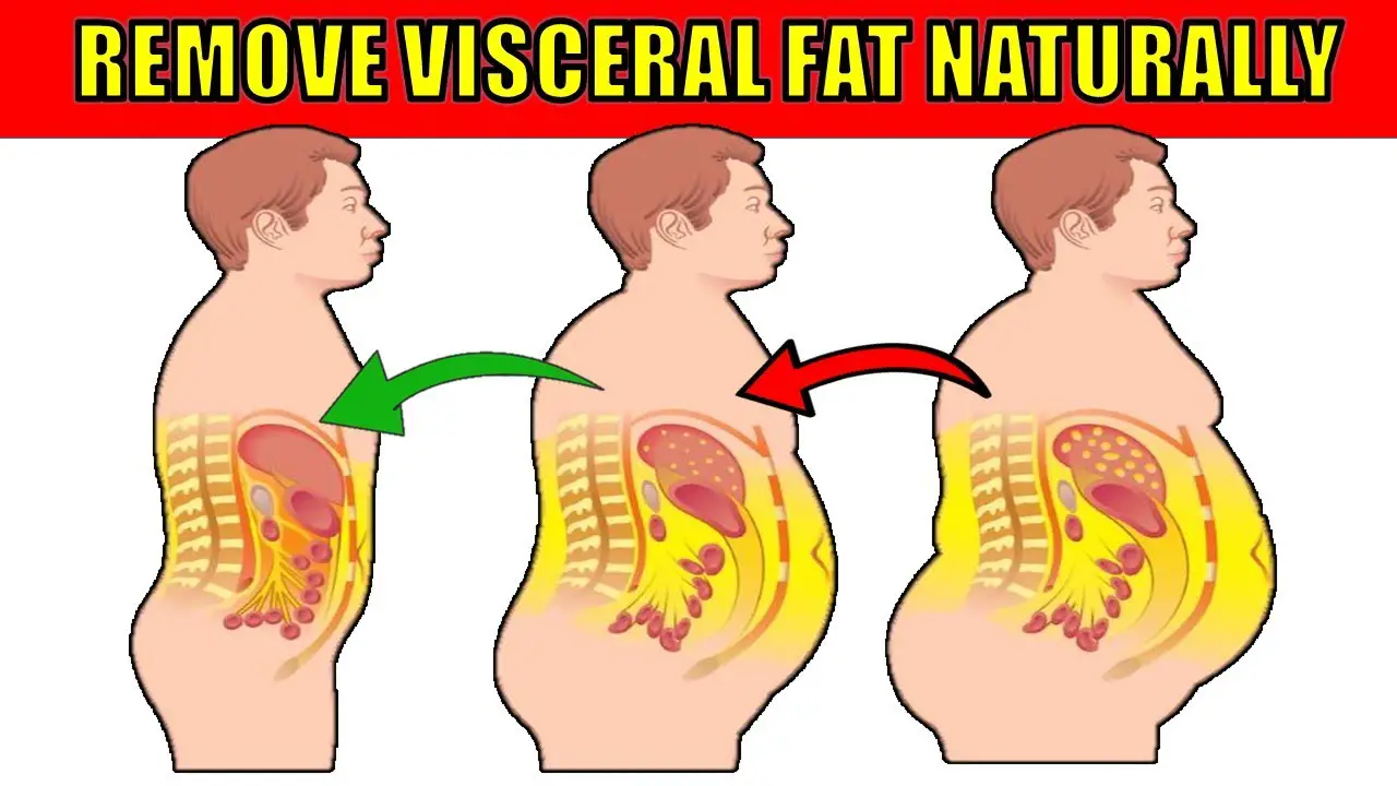 how-to-get-rid-of-visceral-fat-naturally-epic-natural-health