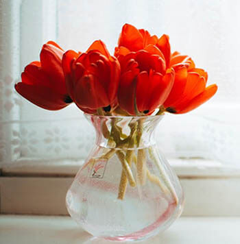 flowers in a vase