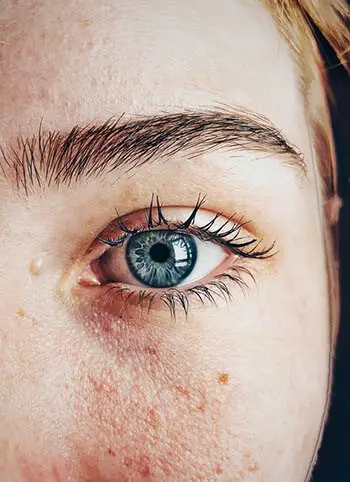 eyebrows and eyelashes of a person