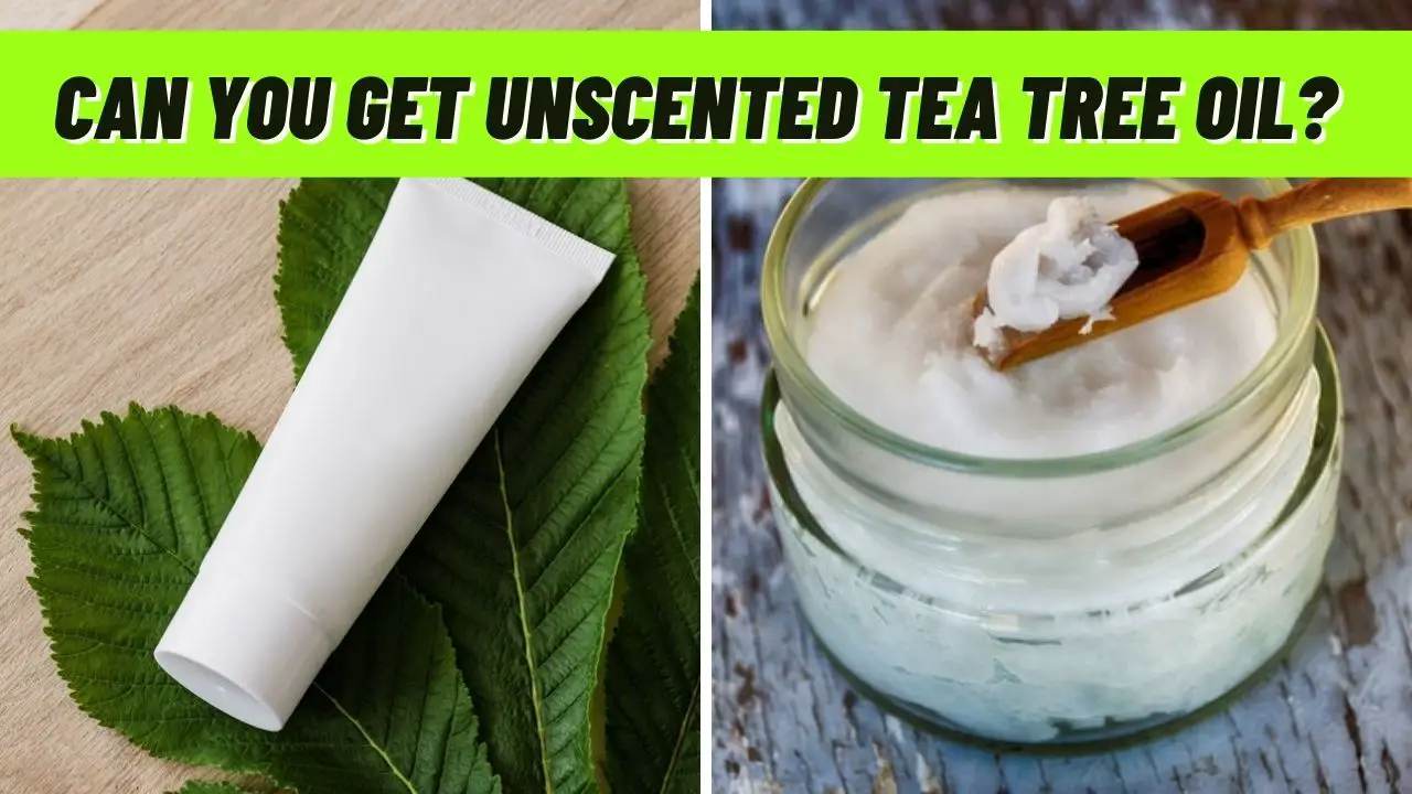 Can You Get Unscented Tea Tree Oil? Epic Natural Health