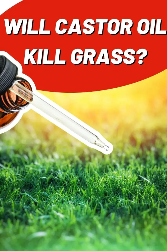 Will Castor Oil Kill Grass? Epic Natural Health
