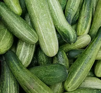 cucumbers