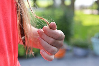 tugging on ends of hair