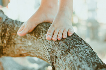 feet on top of wood