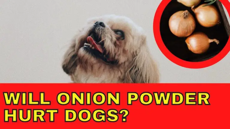 Will Onion Powder Hurt Dogs Epic Natural Health