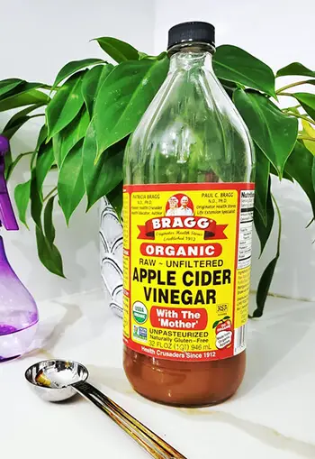 apple cider vinegar