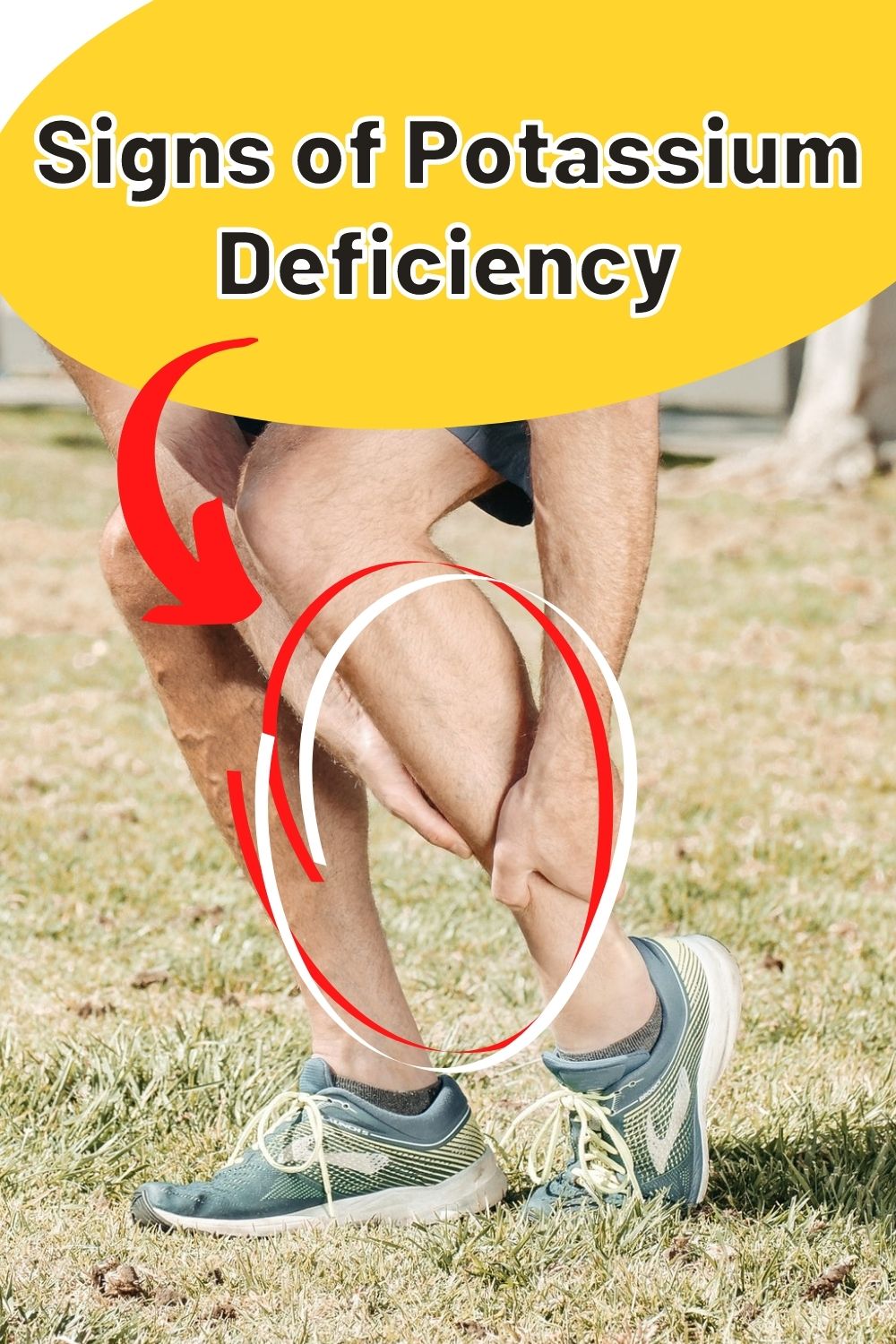 signs of potassium deficiency