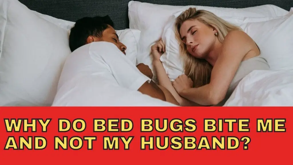 Why Do Bed Bugs Bite Me And Not My Husband