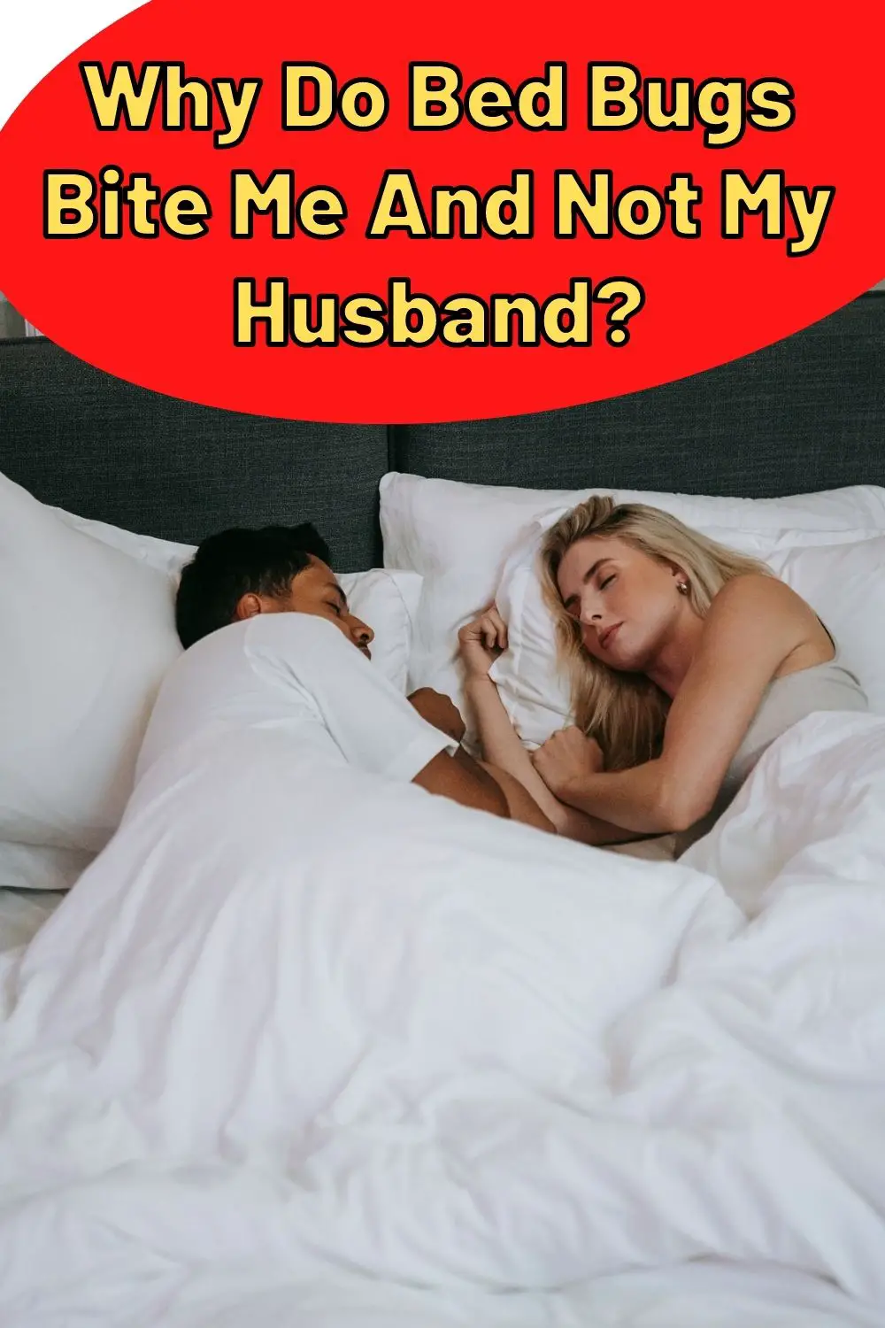 Why Do Bed Bugs Bite Me And Not My Husband PIN