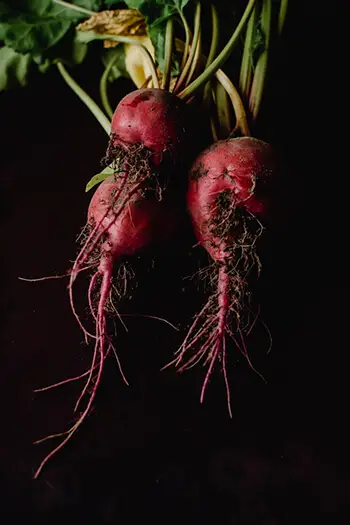 beets