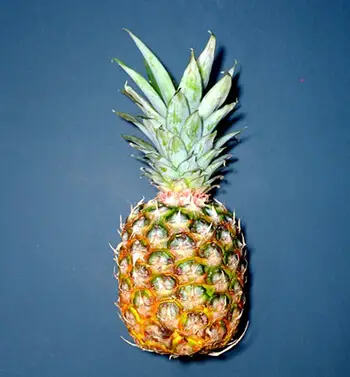 pineapple