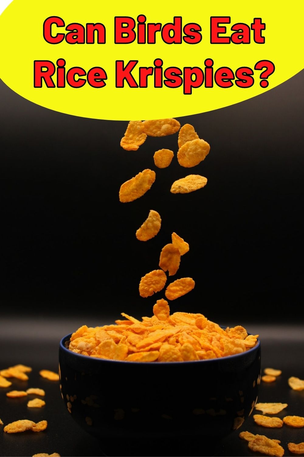 Can Birds Eat Rice Krispies PIN
