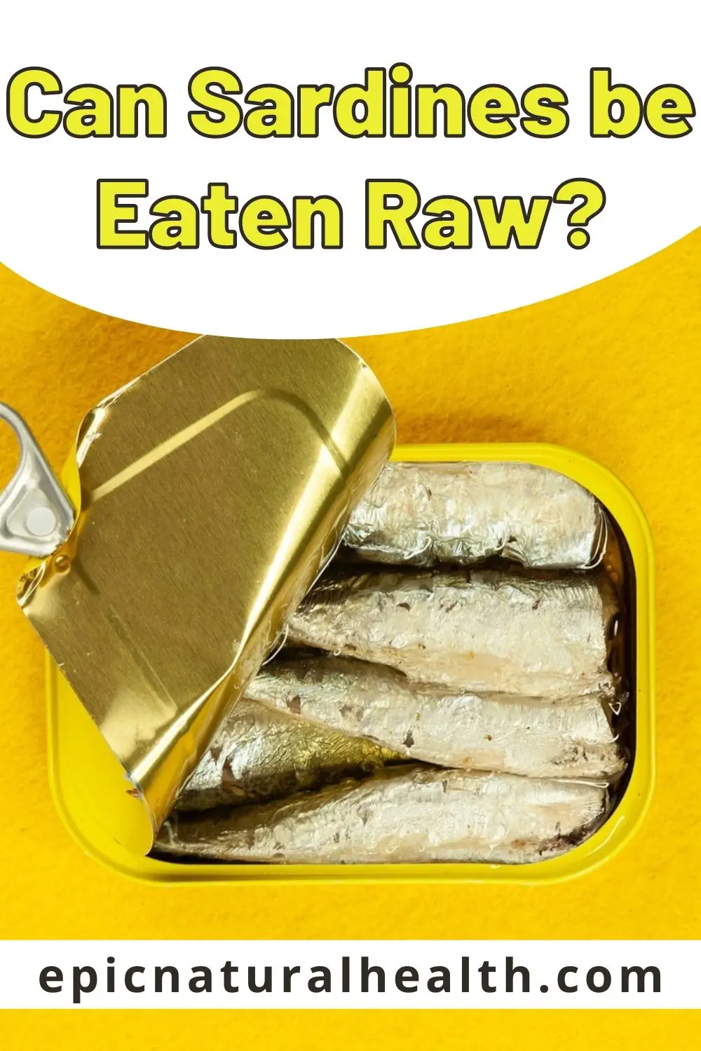 Can Sardines be Eaten Raw PIN