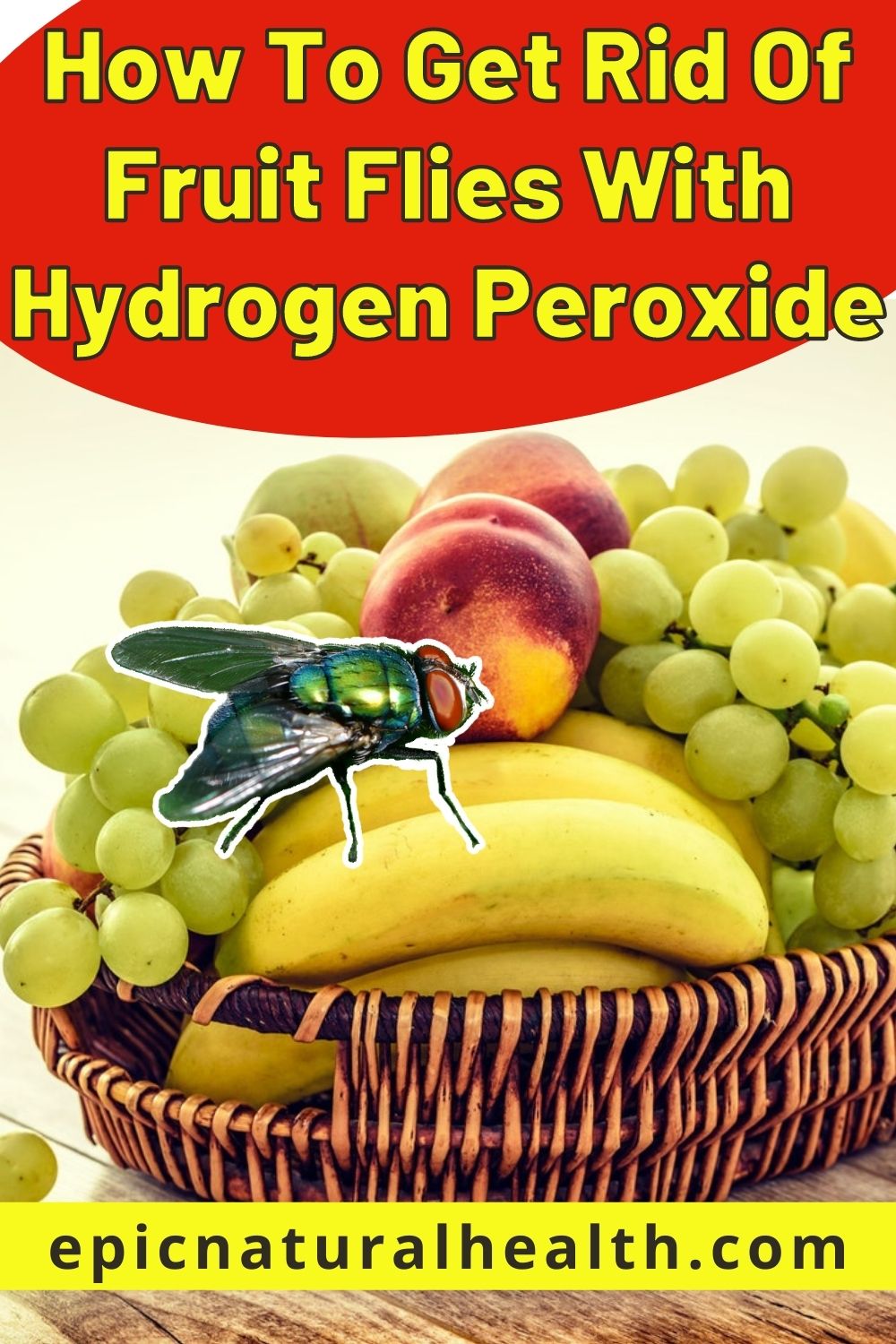 How To Get Rid Of Fruit Flies With Hydrogen Peroxide PIN