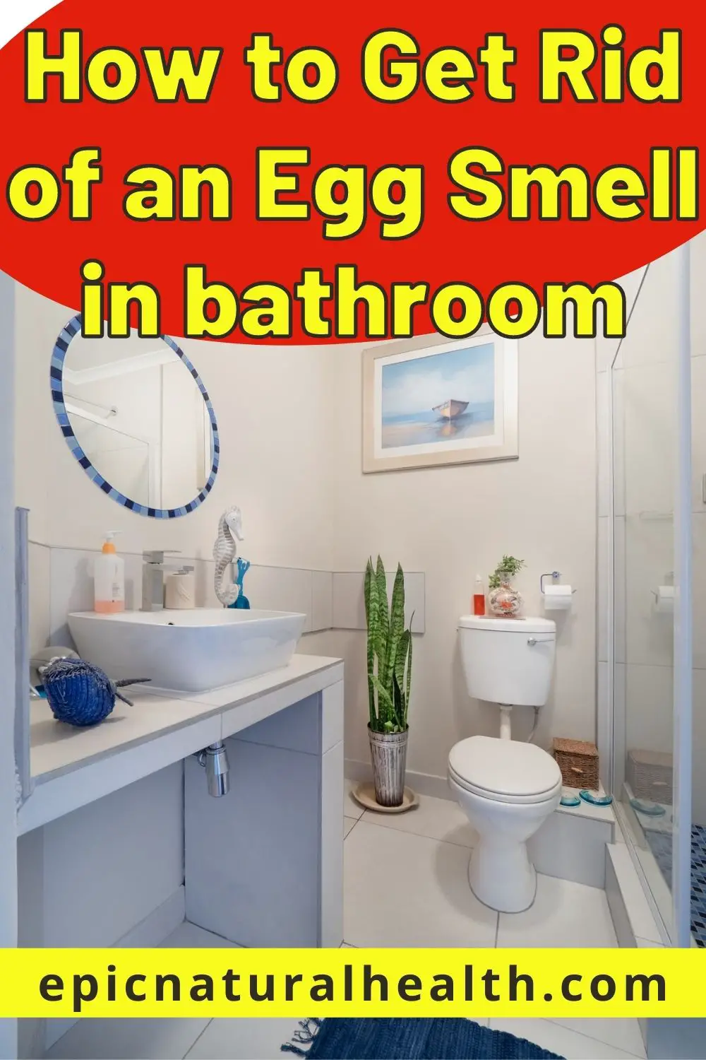 How to Get Rid of an Egg Smell in bathroom PIN