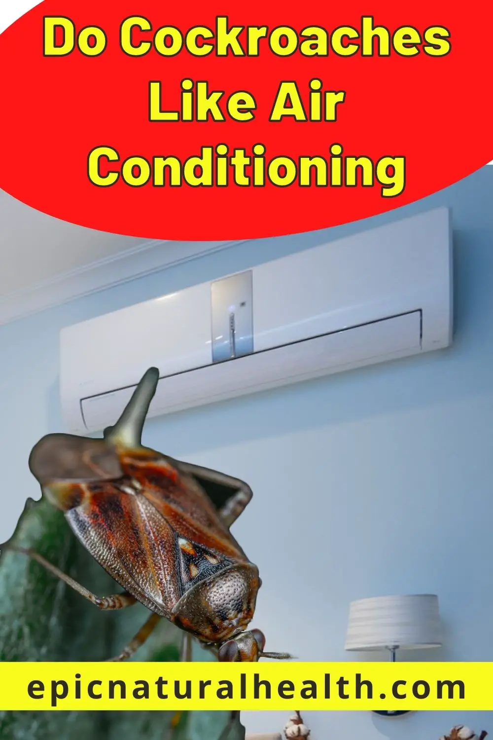 Do Cockroaches Like Air Conditioning PIN
