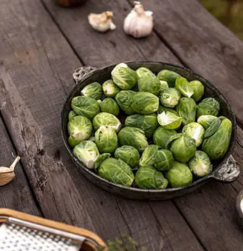 brussel sprouts