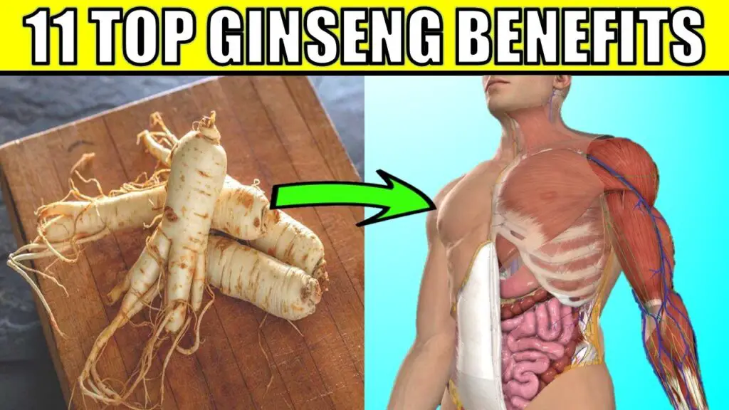 11 top ginseng benefits